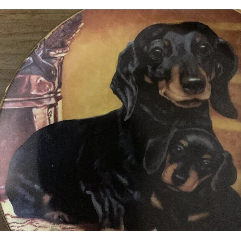 Danbury Mint Limited Edition Collection Plates Dachshunds, Pride And Joy, A5735 - Picture 3 of 8